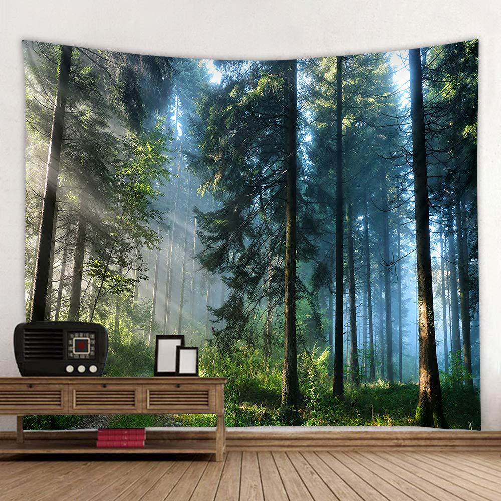 VIKAMA Outdoor-Abenteuer Wandd – Outdoor Adventure Background Bewertung und Preis